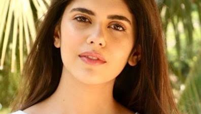 Sanjana Sanghi: Trying to zone in creatively is a challenge in these times