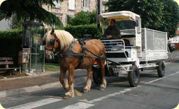 horse-and-cart-recycling