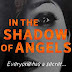 In the Shadow of Angels - a fast-paced crime thriller by Donnie J Burgess