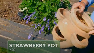 Strawberry pot