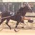 Hawthorne Harness Selections for Wednesday 1-13-16