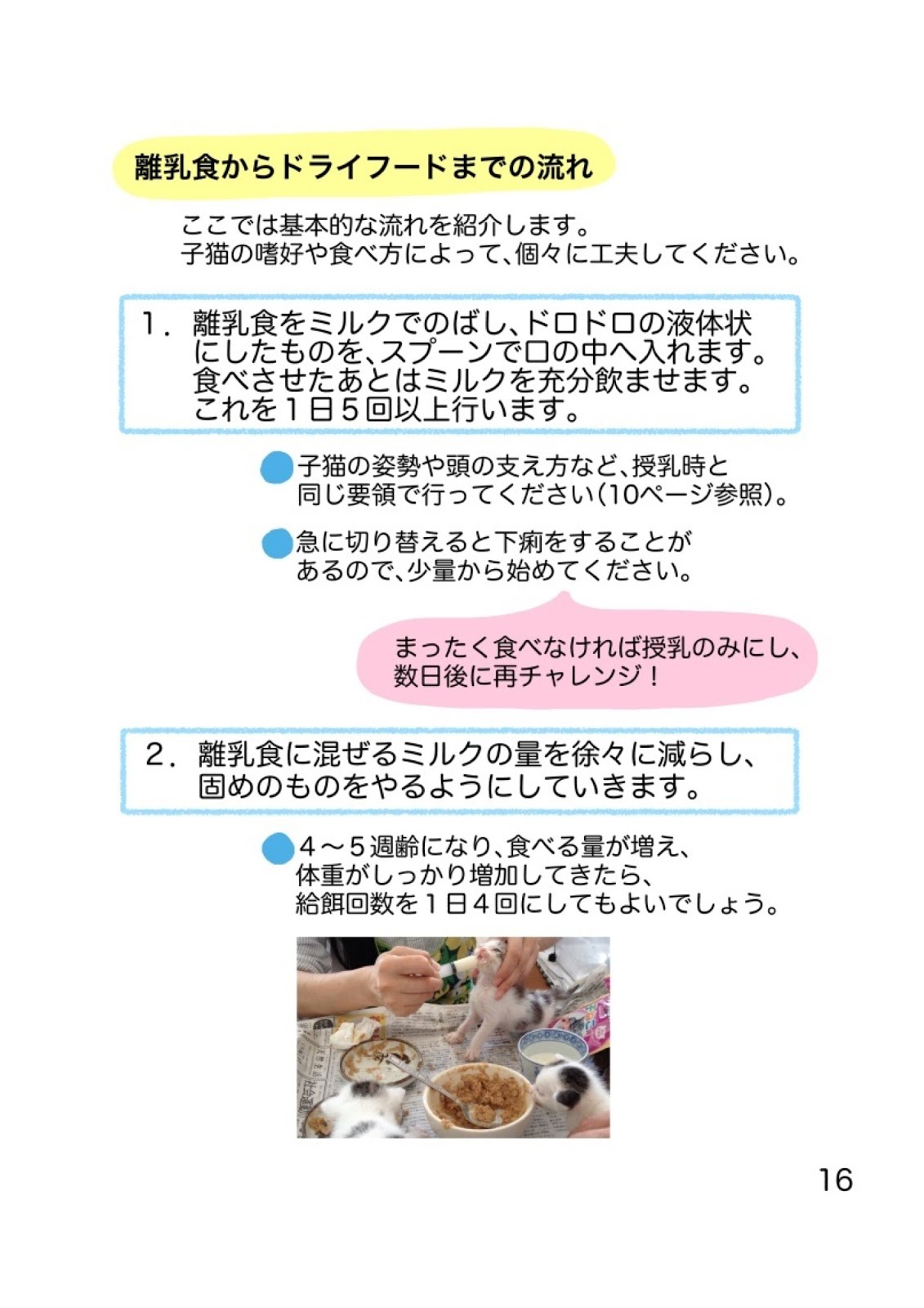とよなか子猫の貯金箱: てのひら子猫の育て方。