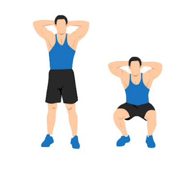 تمرين القرفصاء الأساسي Basic Squat