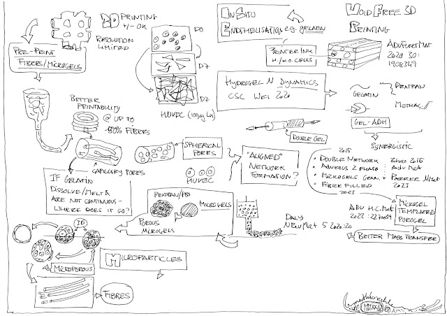 sketch of a scientific talk with much of he images shown captured in line drawings here mainly about formulation for 3D printing for tissue engineering 2 of 2