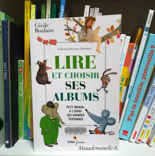 Lire et choisir ses albums, petit manuel à l'usage des grandes personnes