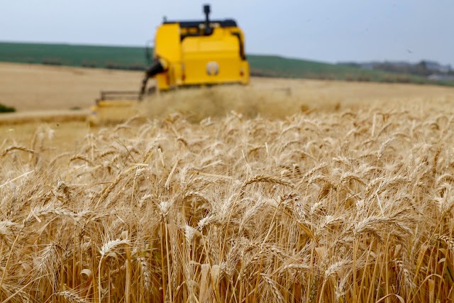 Boletim da Secretaria da Agricultura detalha impacto do El Niño na produção paranaense