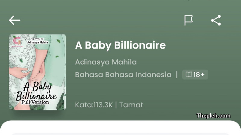 Novel Baby Billionaire Full Bab
