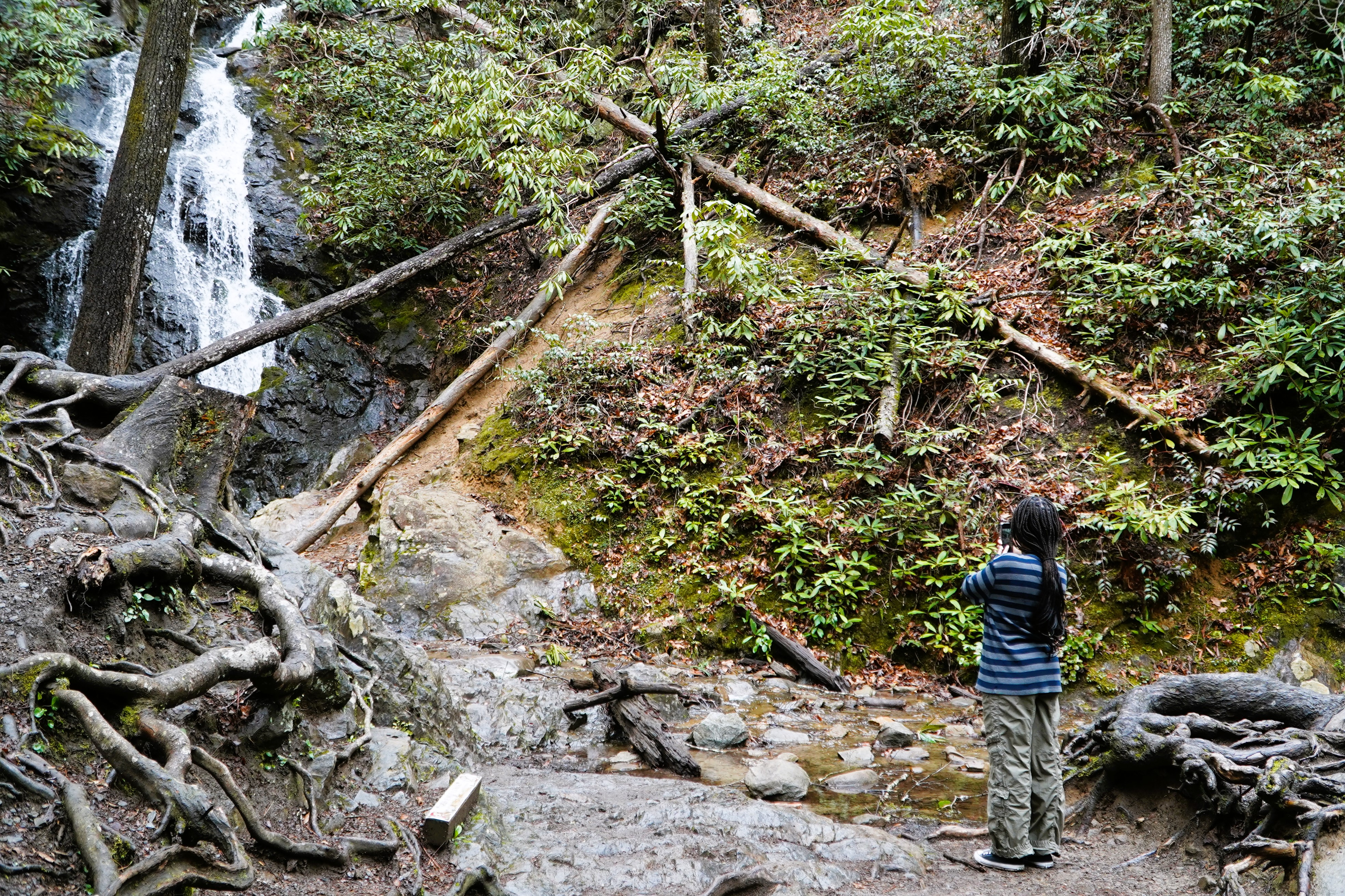 Pink Jeep Tours Smoky Mountains Review