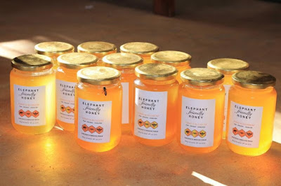 Οι αγρότες στην Αφρική βάζουν έτσι τις κυψέλες στα χωράφια τους αλλά όχι για να πάρουν το μέλι…