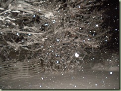cool snow flakes