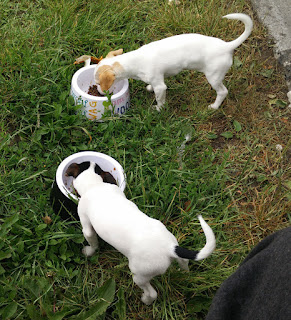 Having some breakfast by the side of the road