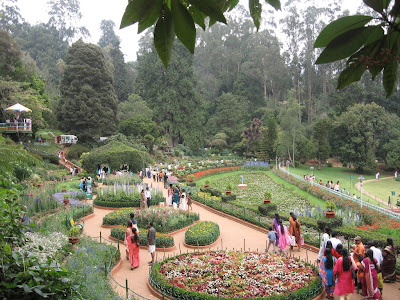 Ooty Botanical Gardens