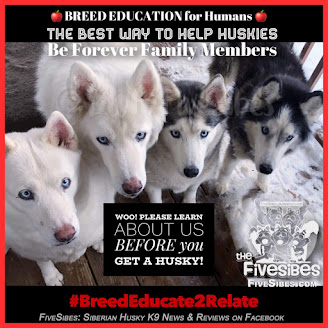 #BreedEducate2Relate #WaitingWednesday #Rescue Blog Hop