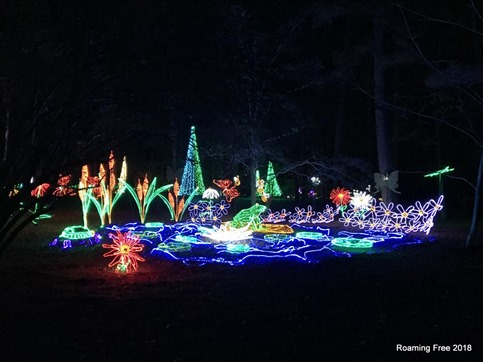 Garden of Lights