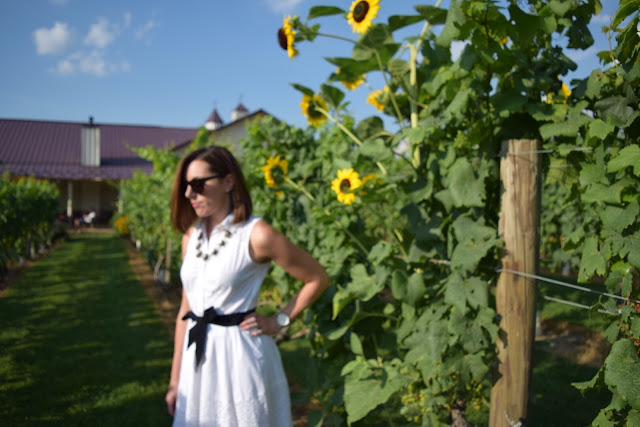 Virginia Wineries