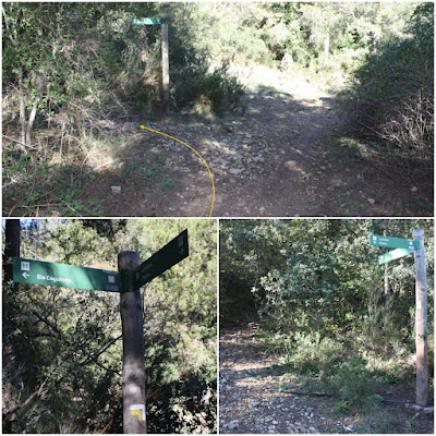 MOLA D'ESTATS - LES 3 CREUS - TAULA DELS QUATRE BATLLES, Camí de la Baridana i corriol a Els Cogullons