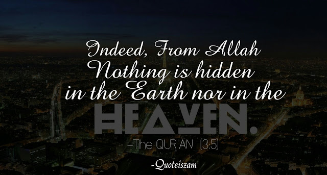 Indeed, from Allah nothing is hidden in the Earth nor in the Heaven. -The Qur'an [3:5]