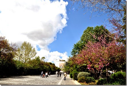 DSC_2874_Fotor
