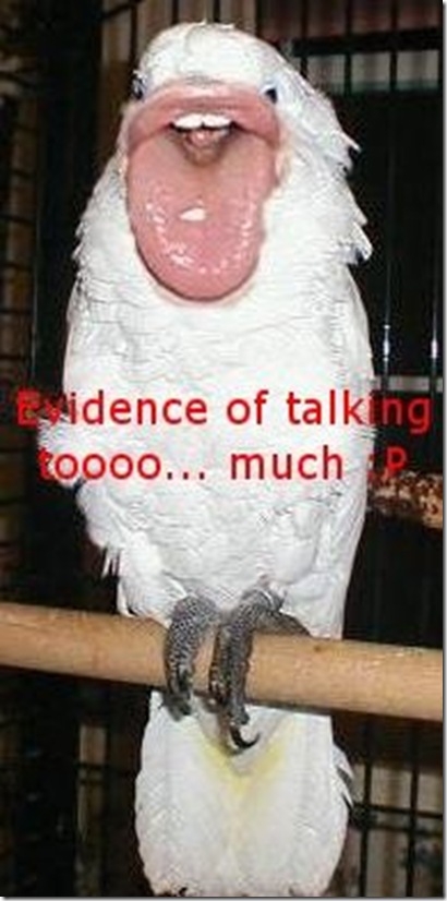 Funny Pictures: Why does too talkative is bad?