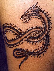 Celtic Dragon Tattoos