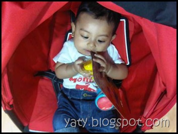 IMG00778-20101031-1416