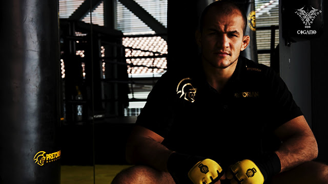 ufc mma heavyweight champion junior dos santos wallpaper image picture