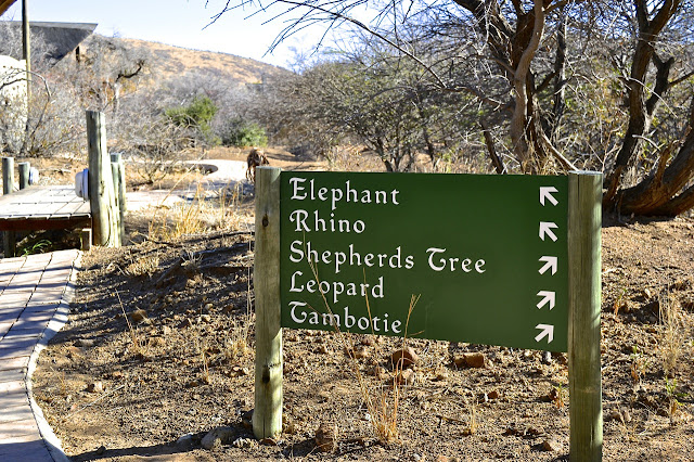 Pilanesberg Private Lodge, South Africa