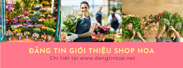 DỊCH VỤ ĐĂNG TIN RAO VẶT GIỚI THIỆU SHOP HOA