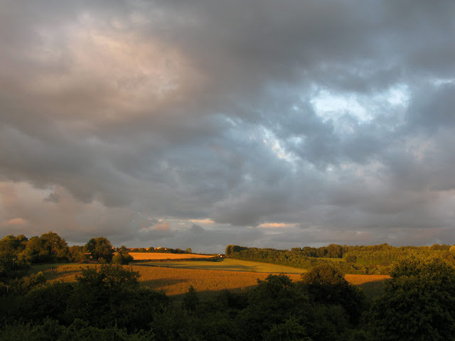 August evening view across Shropshire fields.