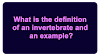 What is the definition of an invertebrate and an example?