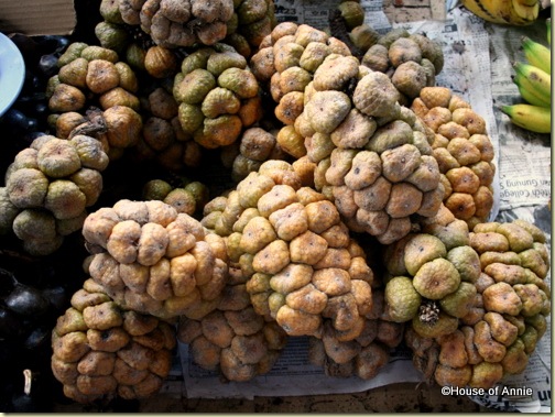 snakeskin fruit