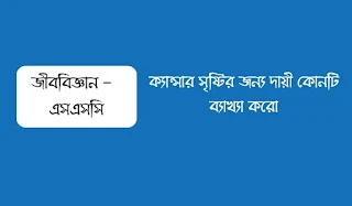 ক্যান্সার সৃষ্টির জন্য দায়ী কোনটি ব্যাখ্যা করো