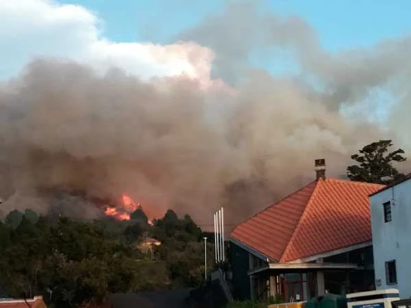 Mueren animales en  incendio  Garafía, La Palma