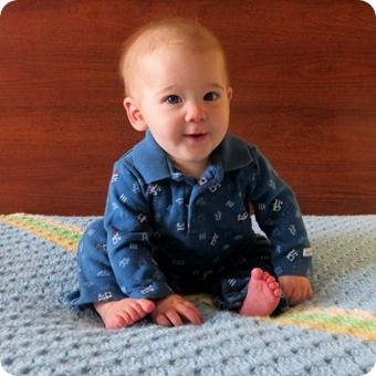 Henry 6 Month Portraits