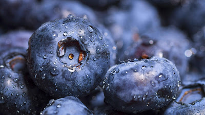  ialah buah beri berbentuk bundar kecil berwarna biru gelap dengan mahkota diujung buahnya Nih Wallpaper Gambar Buah Blueberry