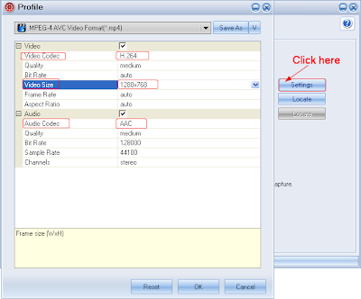 customize MP4 parameters for playing Flash on Lumia 920 