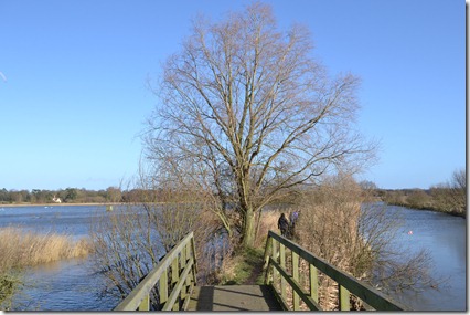 Hardley Flood 0112 007