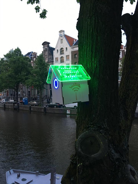 TreeWifi