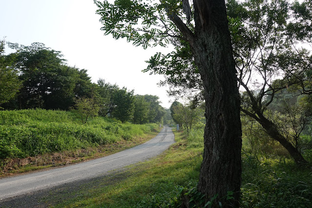 鳥取県西伯郡伯耆町丸山の地蔵滝の泉