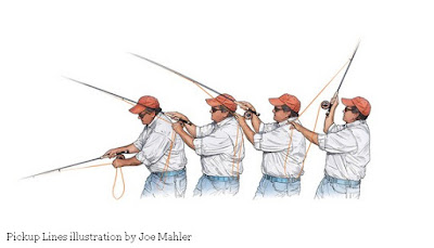 Fly Fisherman Illustrator Joe Mahler