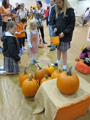 IMG_4962