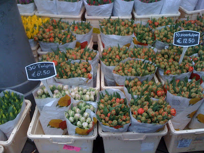 Amsterdam Flower Market, flowers, plants, flower market, tulips