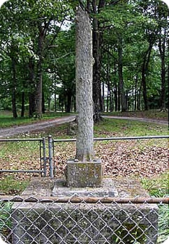 first-grave