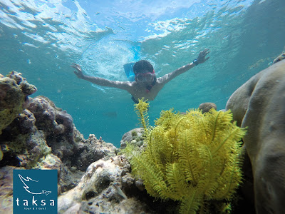 paket travel dan snorkling pulau tabuhan