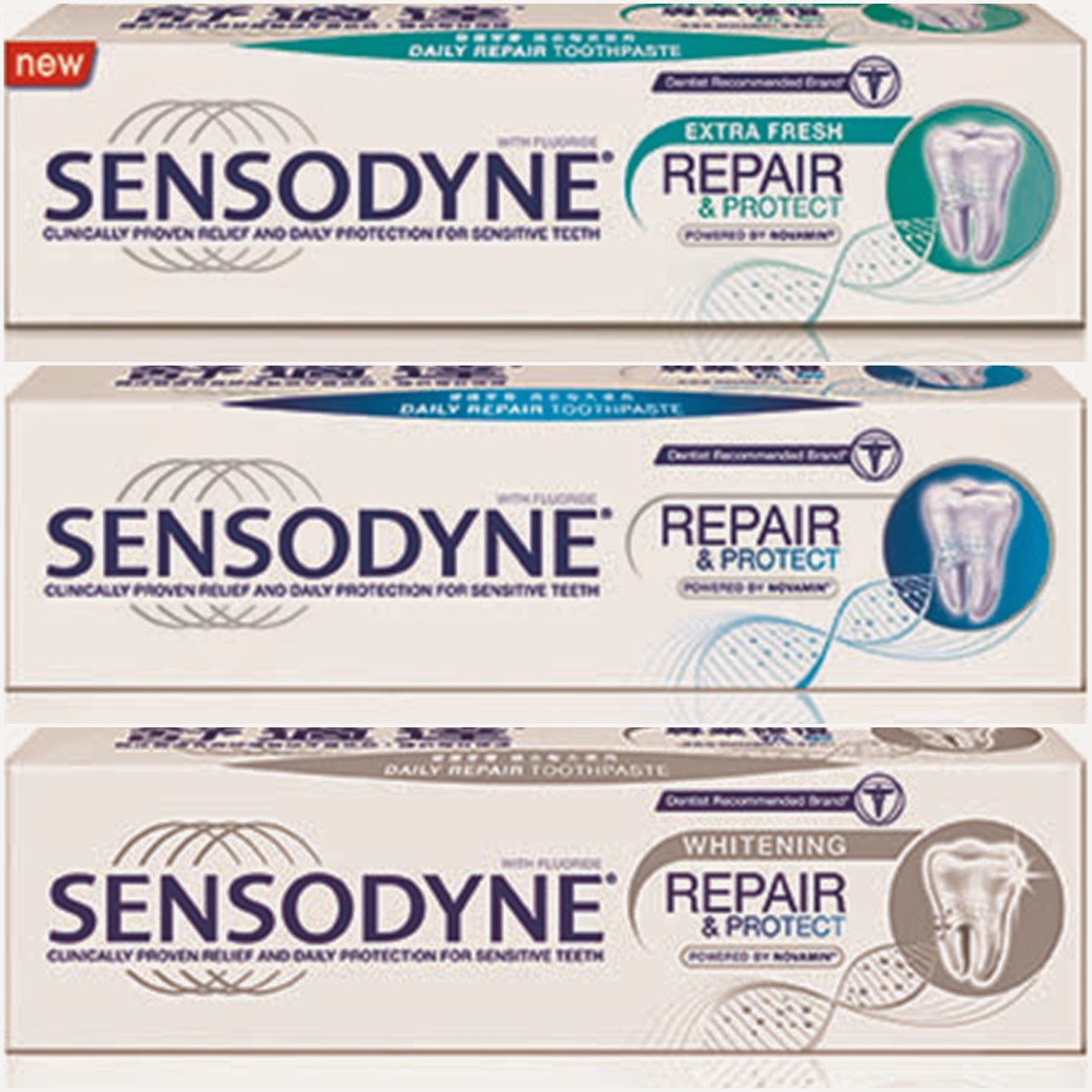 Sensodyne 'Tiada Ngilu, Hidup Ceria' Chill Festival - Ayue 