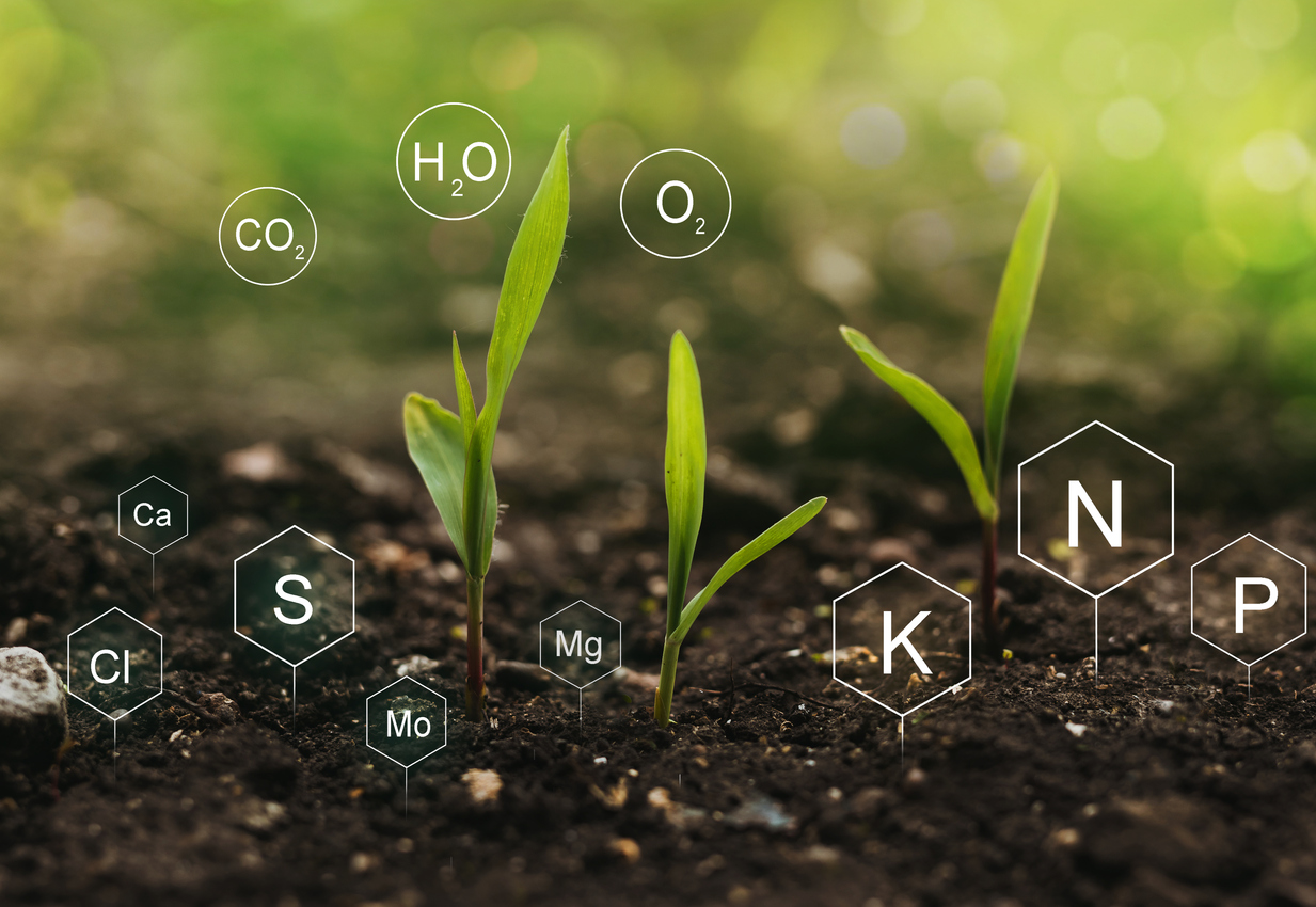 Understanding Biologicals