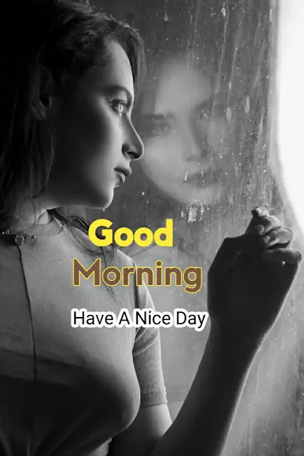 Beautiful Rainy Morning Image for Friend on Whatsapp