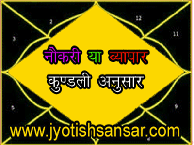 hindi jyotish for career/rojgaar/vyapaar