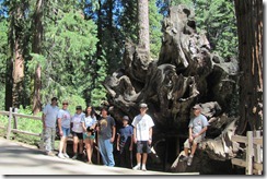 General Grant Walk