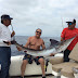 Cabo San Lucas Fishing Report April 30th to May 6th, 2016